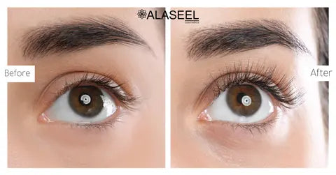 Eyelashes & Eyebrows Serum My Store